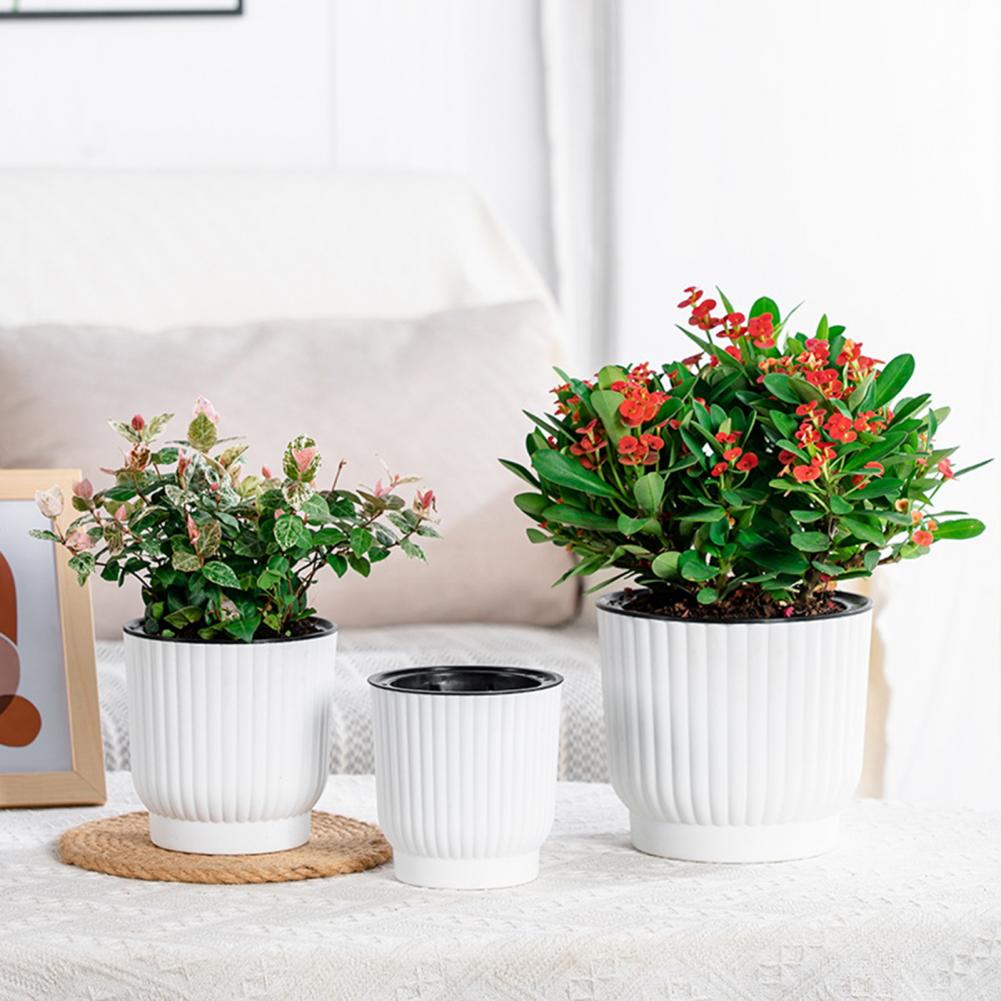 Indoor Herb Garden Kit - Indoor Self Watering Pot Ventilated Basin