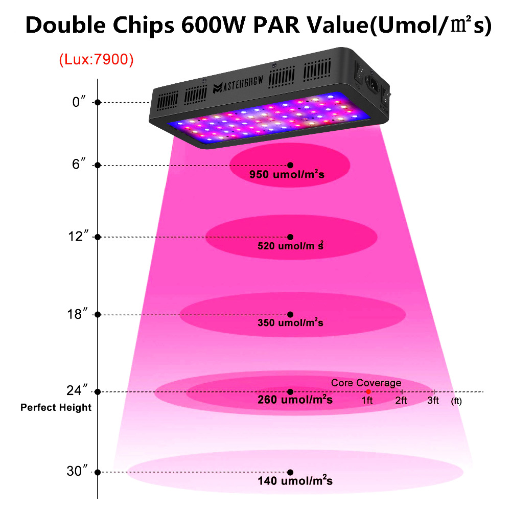 LED Grow Light 600/800/900/100 - Grow Tent Complete Kit ulasan dan harga