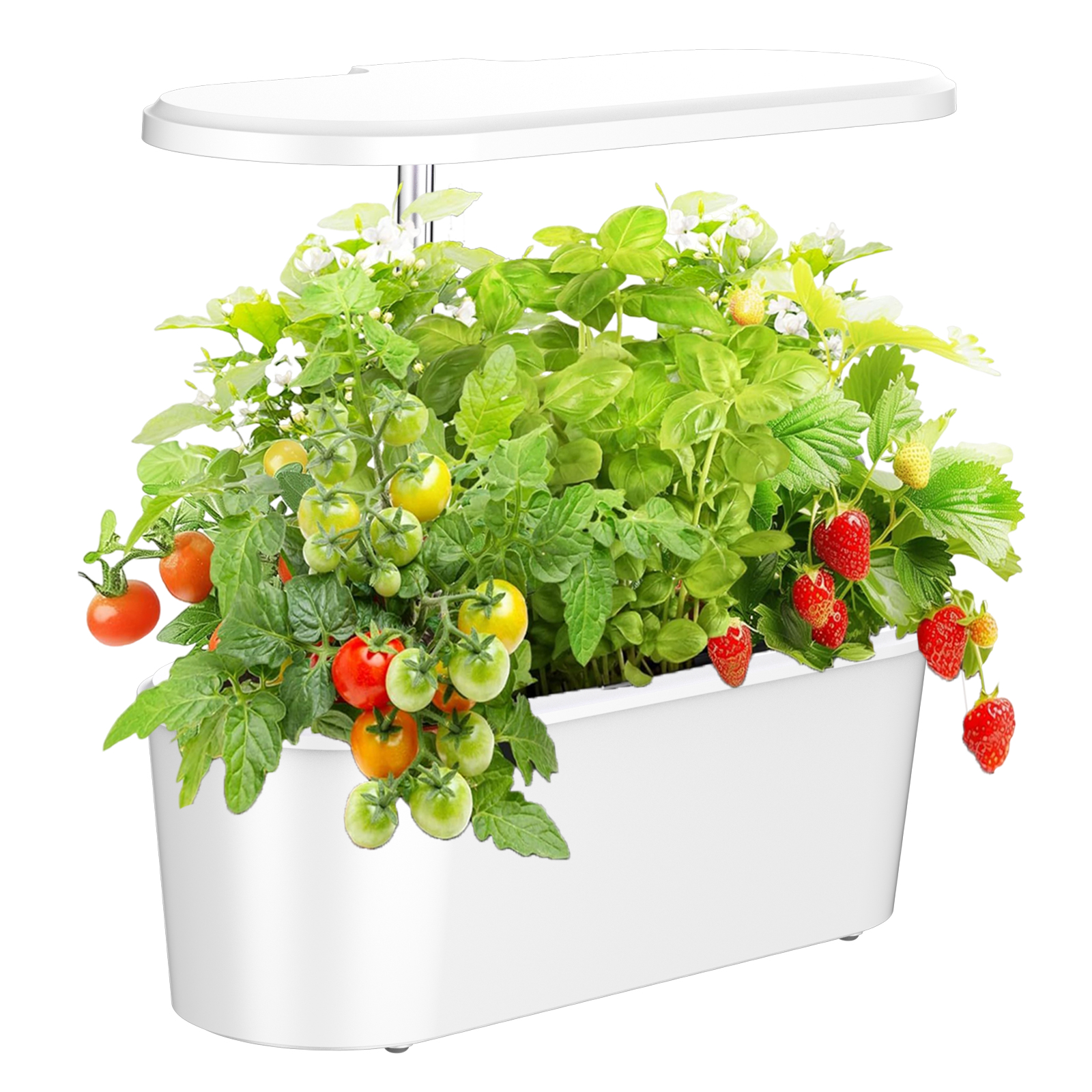 Smart Electronic Indoor Hydrop - Smart Garden Herb ulasan dan harga