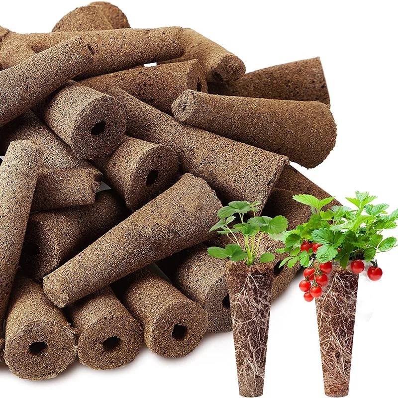 100Pcs Seed Grow Sponges Repla - Indoor Herb Garden Kit ulasan dan harga