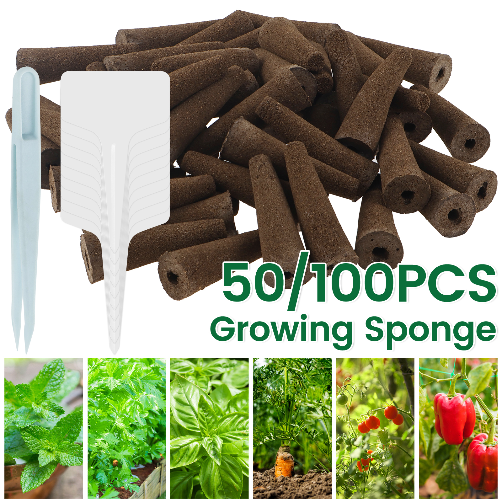 100Pcs Seed Grow Sponges Repla - Indoor Herb Garden Kit ulasan dan harga