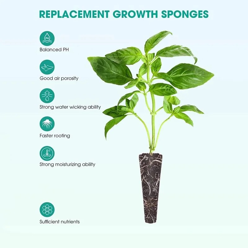 100Pcs Seed Grow Sponges Repla - Indoor Herb Garden Kit ulasan dan harga