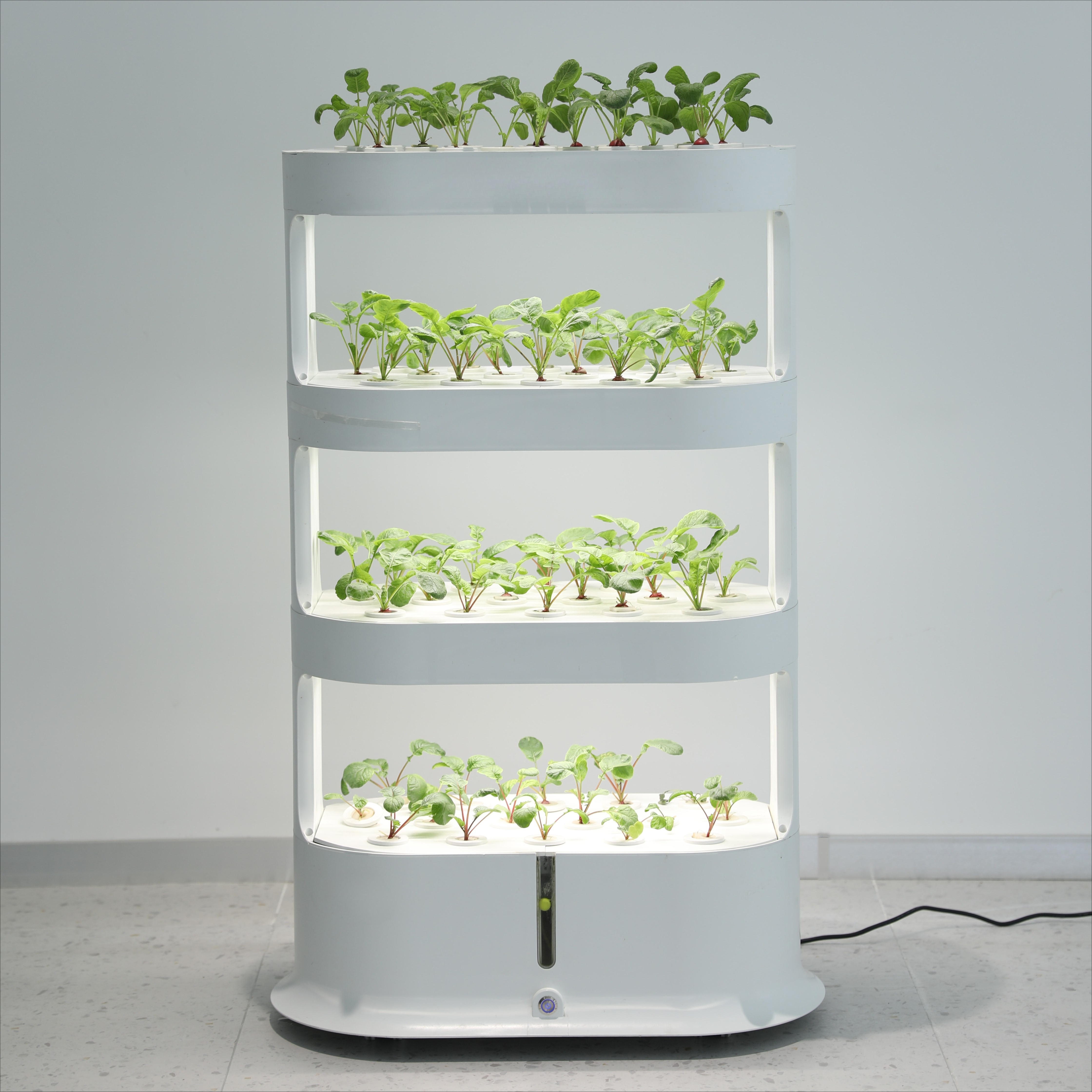 Home Greenhouse Automatic Home - Smart Garden Herb ulasan dan harga