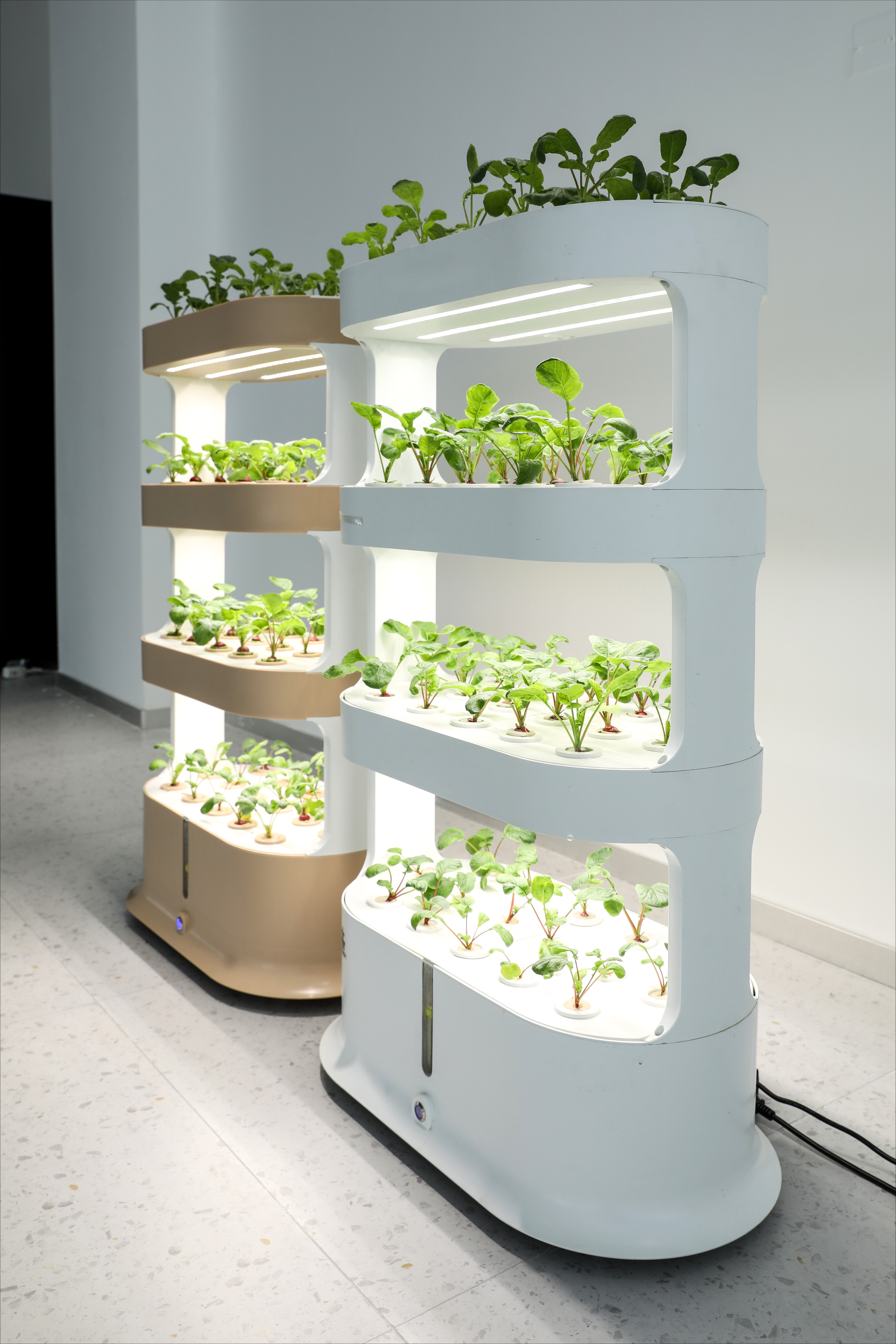 Home Greenhouse Automatic Home - Smart Garden Herb ulasan dan harga