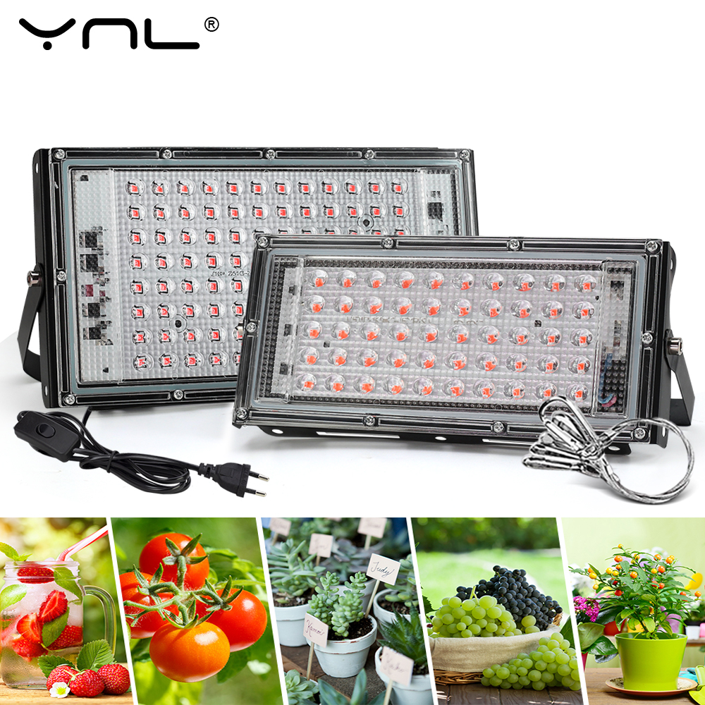 Full Spectrum LED Grow Light P - Grow Tent Complete Kit ulasan dan harga