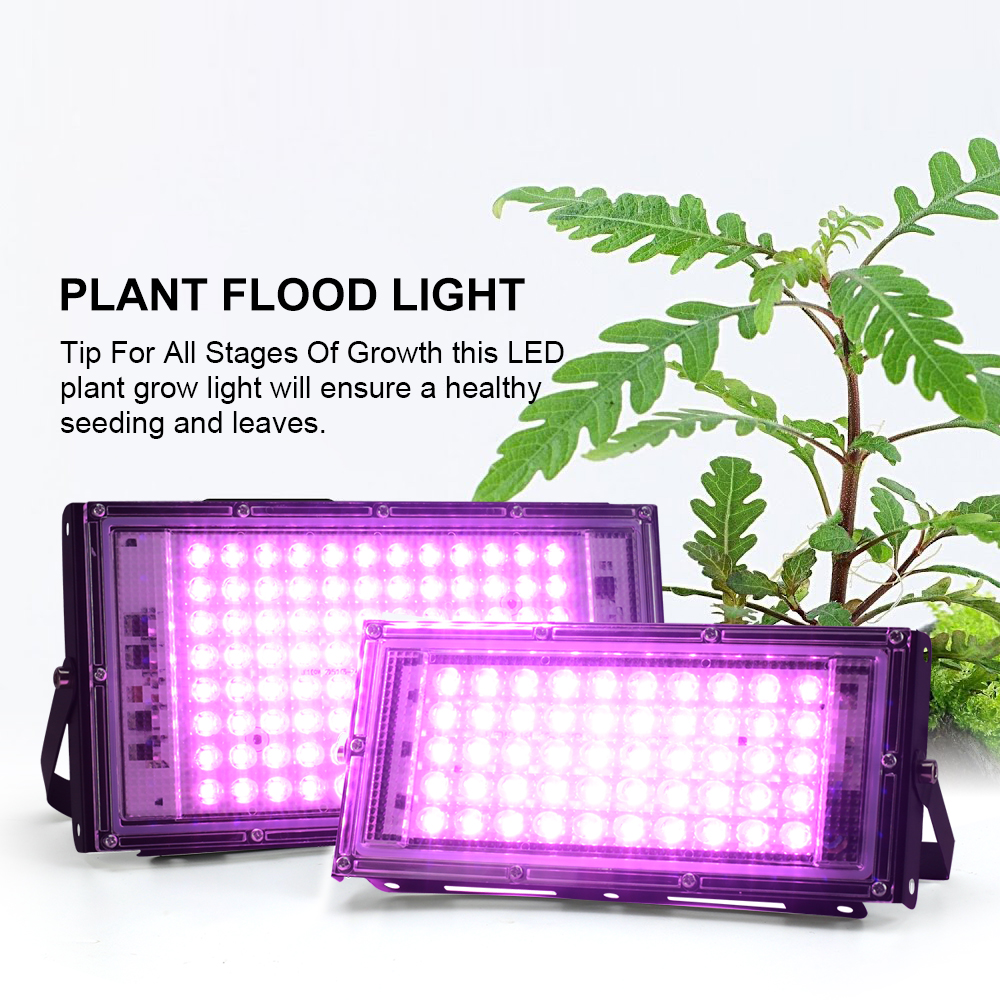 Full Spectrum LED Grow Light P - Grow Tent Complete Kit ulasan dan harga