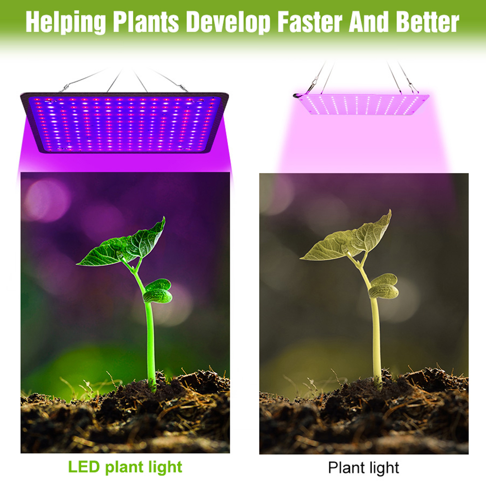 400W LED Grow Light Full Spect - Grow Tent Complete Kit ulasan dan harga