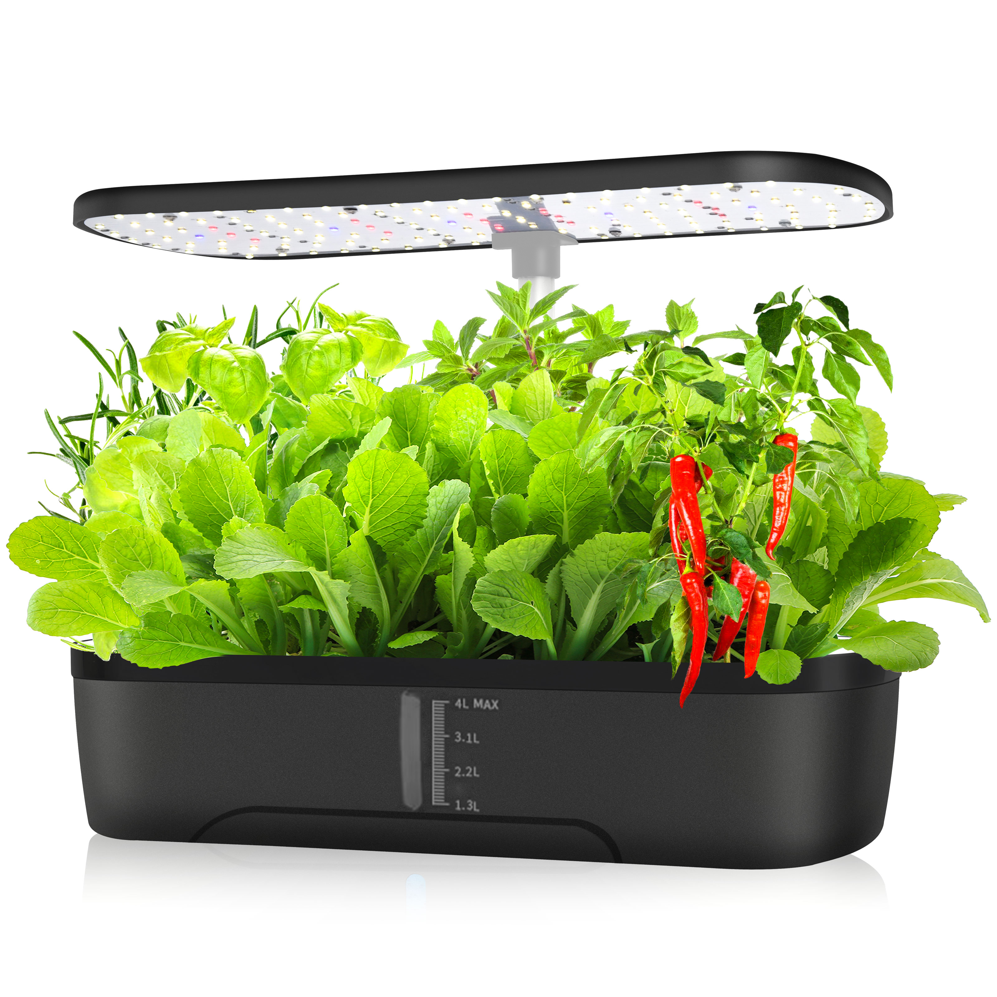 12 Pods Hydroponics Growing Sy - Indoor Herb Garden Kit ulasan dan harga