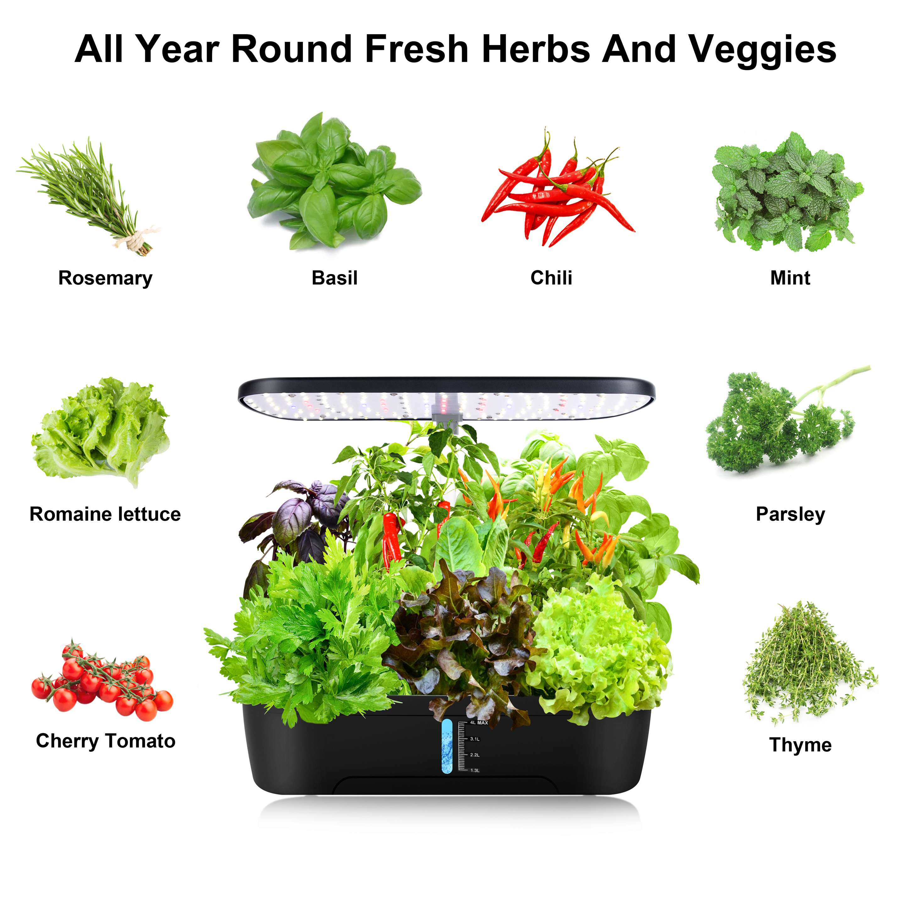 12 Pods Hydroponics Growing Sy - Indoor Herb Garden Kit ulasan dan harga