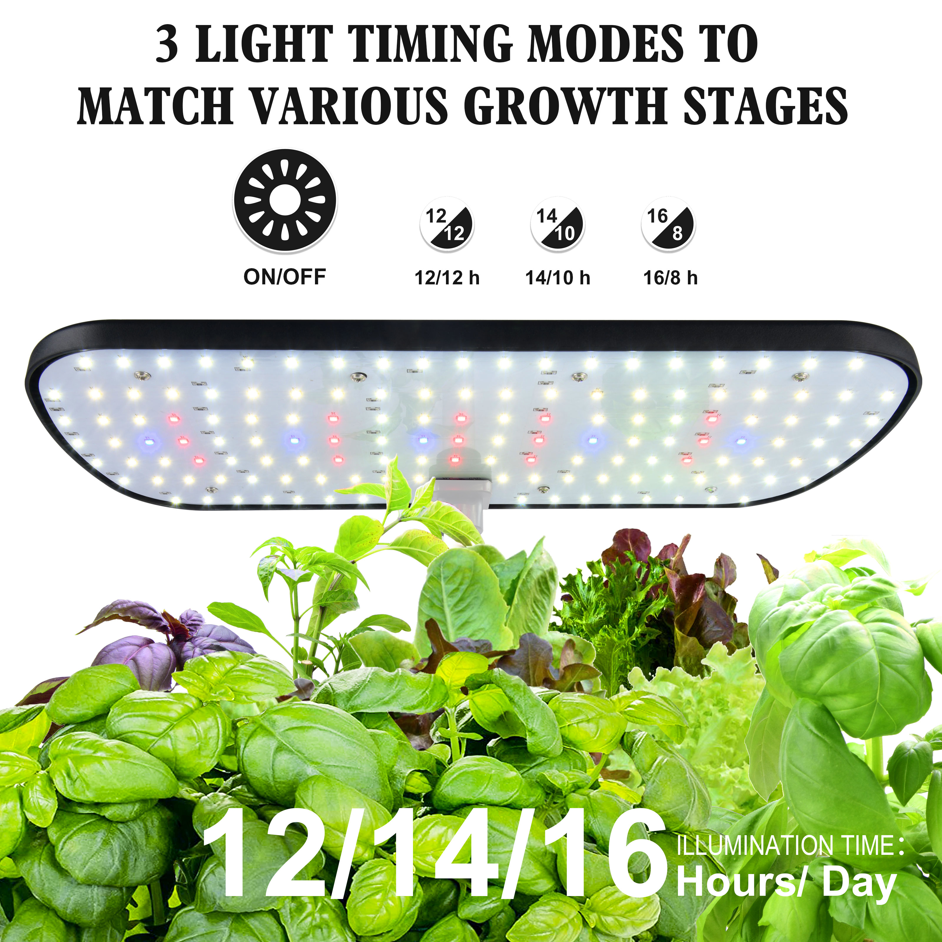 12 Pods Hydroponics Growing Sy - Indoor Herb Garden Kit ulasan dan harga
