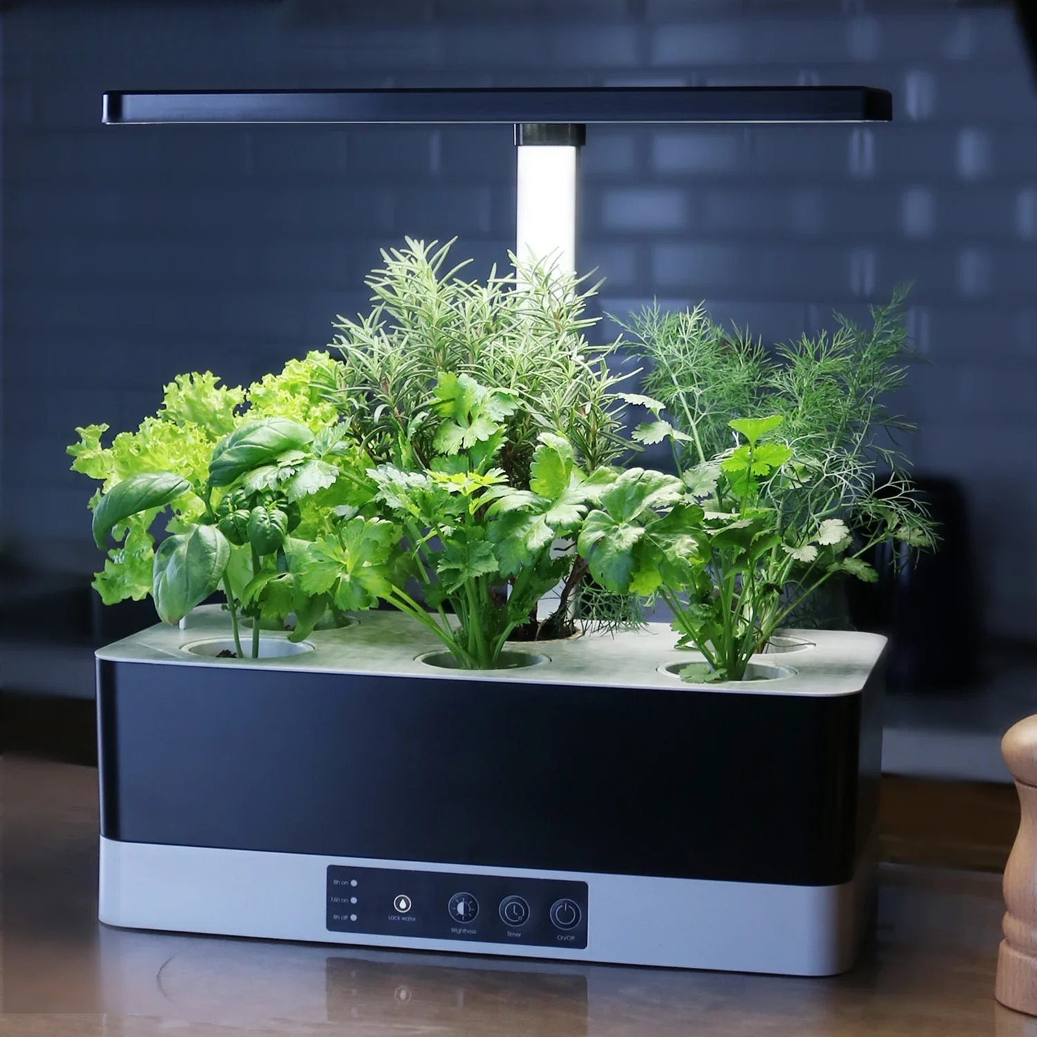 OEM Customized smart garden in - Smart Garden Herb ulasan dan harga