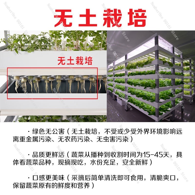 2026 Smart Indoor Hydroponic G - Smart Garden Herb ulasan dan harga
