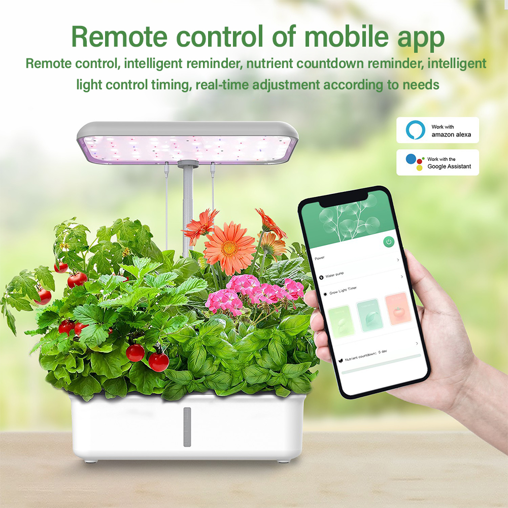 Tuya WiFi Plant Hydroponics Sy - Smart Garden Click And Grow ulasan dan harga