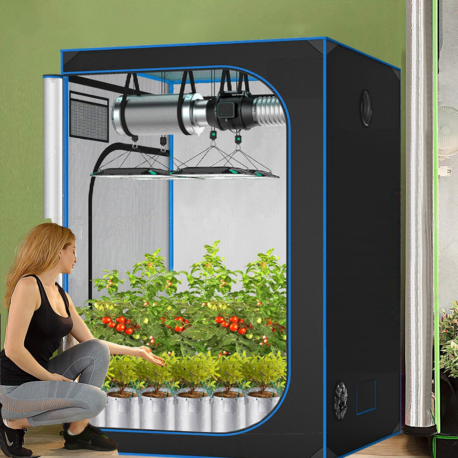 C3 Greenhouse Indoor Grow Tent - Grow Tent Complete Kit ulasan dan harga