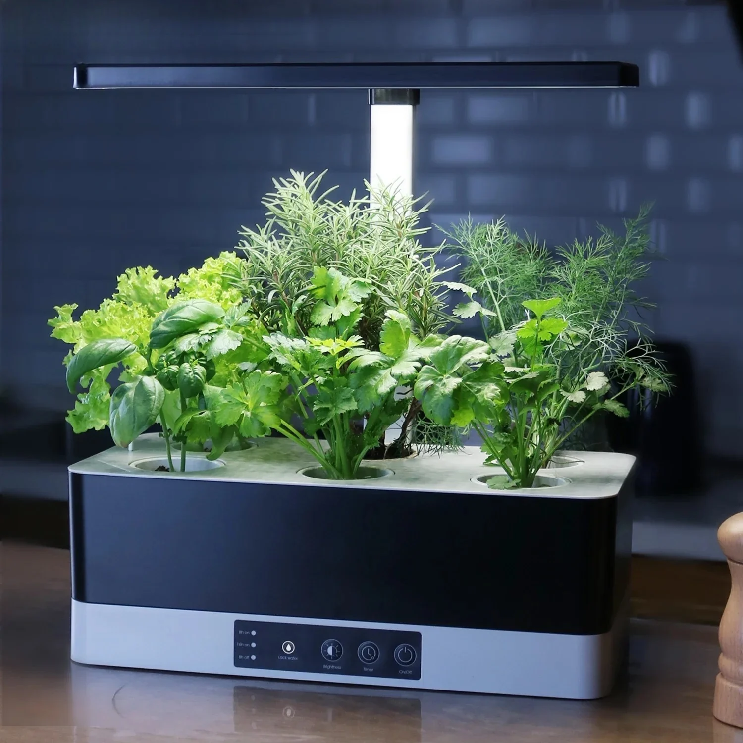 OEM Customized smart garden in - Smart Garden Herb ulasan dan harga