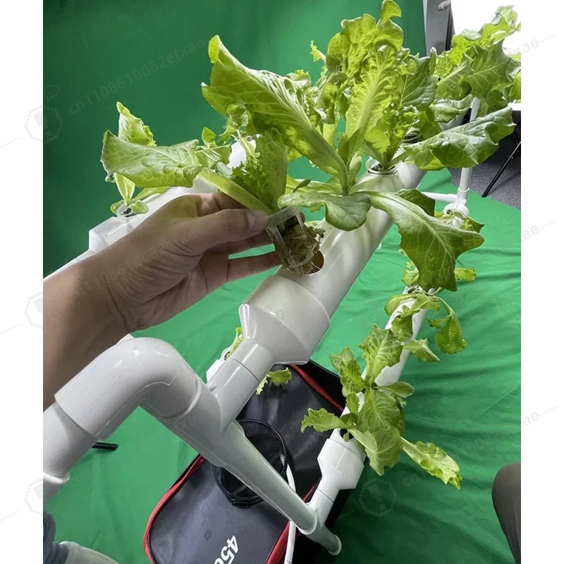 NFT Channel Hydroponics System - Smart Garden Hanging Baskets ulasan dan harga