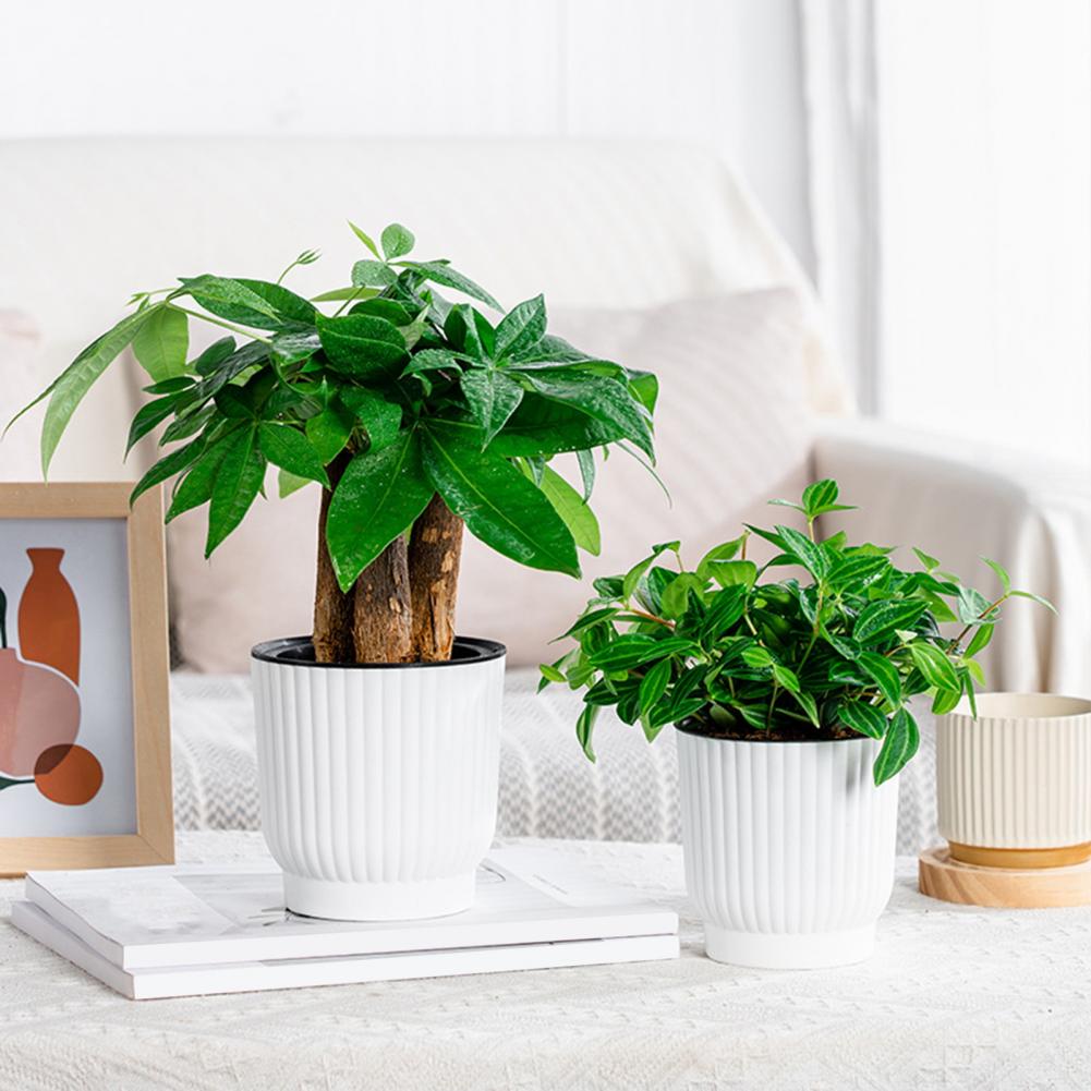 Indoor Self Watering Pot Venti - Indoor Herb Garden Kit ulasan dan harga