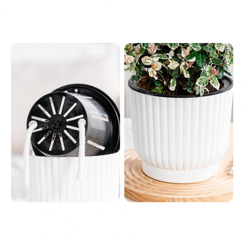 Indoor Self Watering Pot Venti - Indoor Herb Garden Kit ulasan dan harga