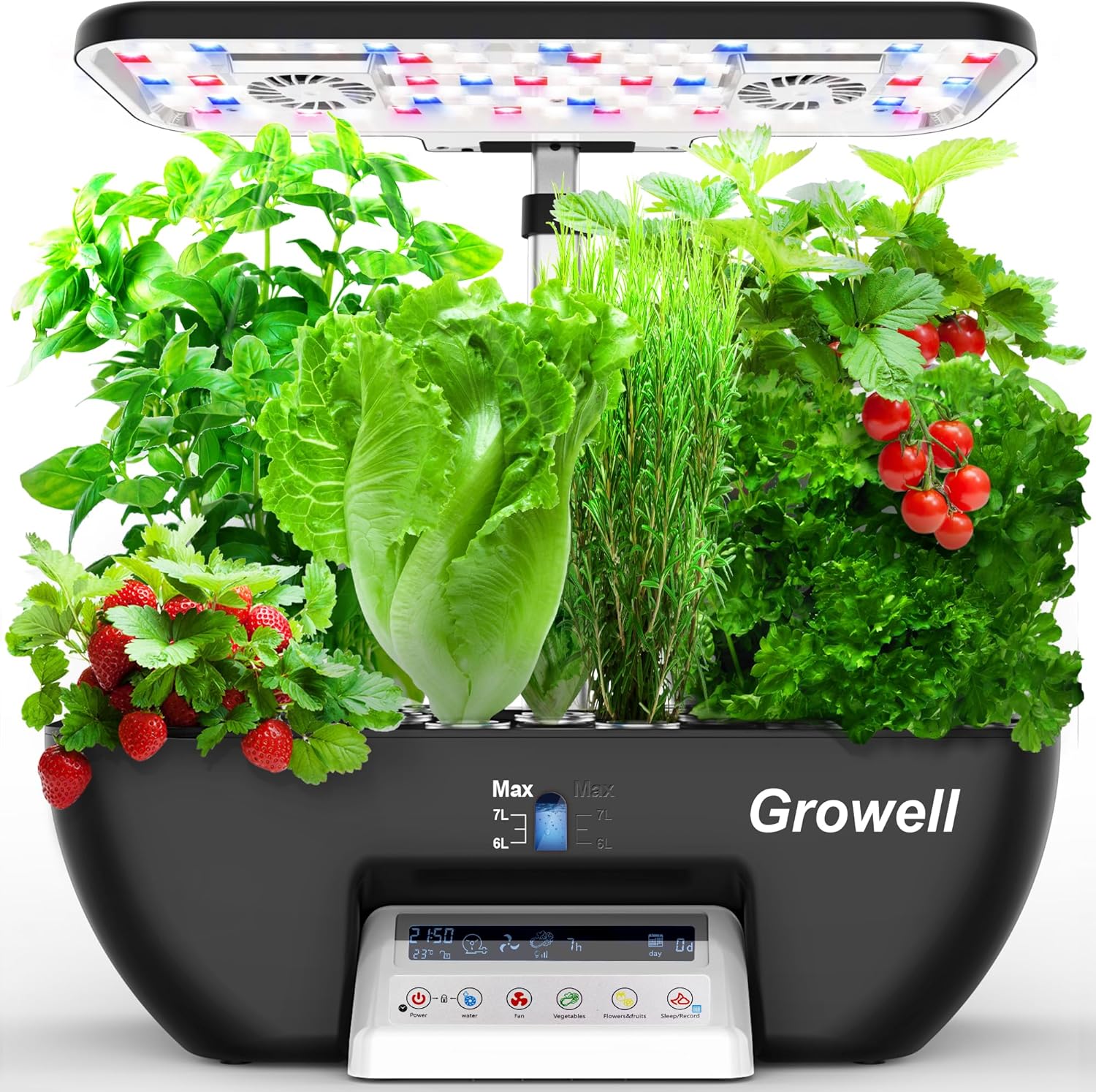 Hydroponics Growing System Kit - Indoor Herb Garden Kit ulasan dan harga