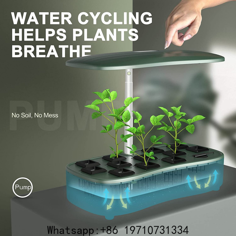 Hydroponics Growing System kit - Indoor Herb Garden Kit ulasan dan harga