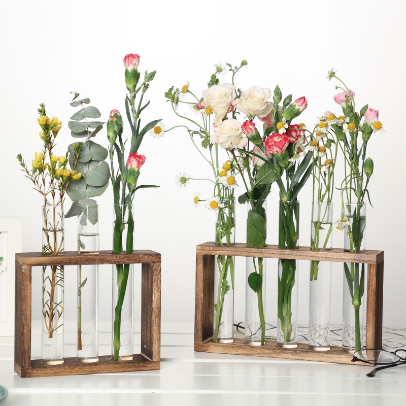 5-Tube Glass Hydroponic Plante - Indoor Herb Garden Kit ulasan dan harga