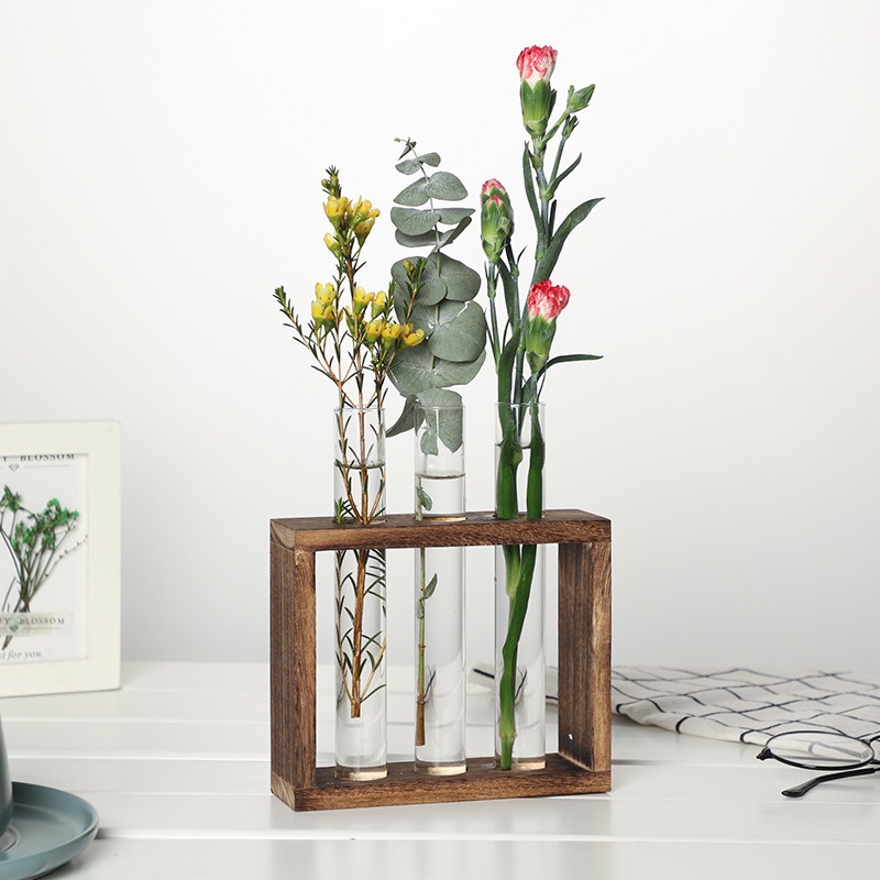 5-Tube Glass Hydroponic Plante - Indoor Herb Garden Kit ulasan dan harga