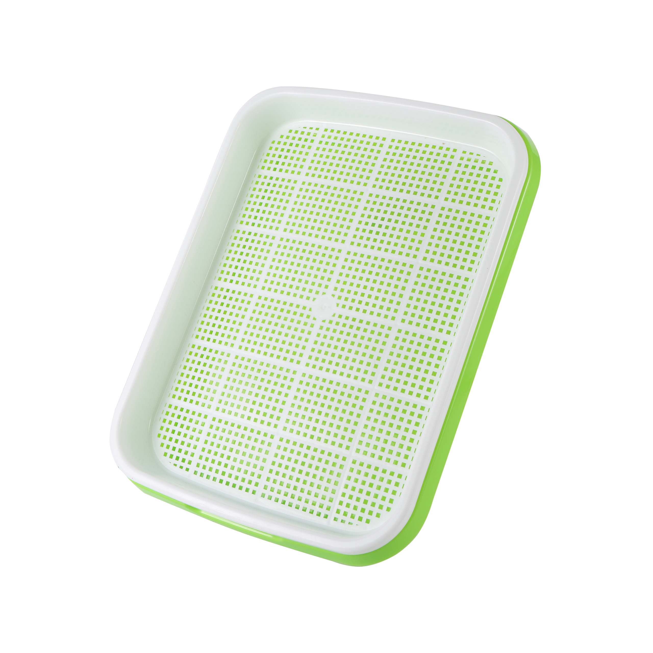 Sprouting Tray Box Pea Bean Wh - Indoor Herb Garden Kit ulasan dan harga