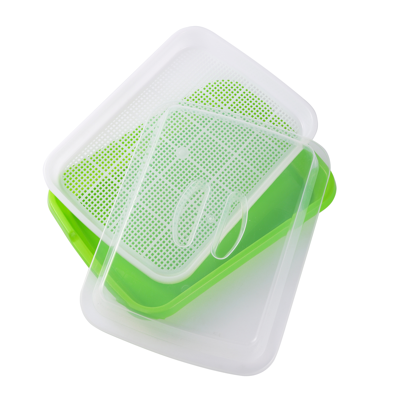 Sprouting Tray Box Pea Bean Wh - Indoor Herb Garden Kit ulasan dan harga