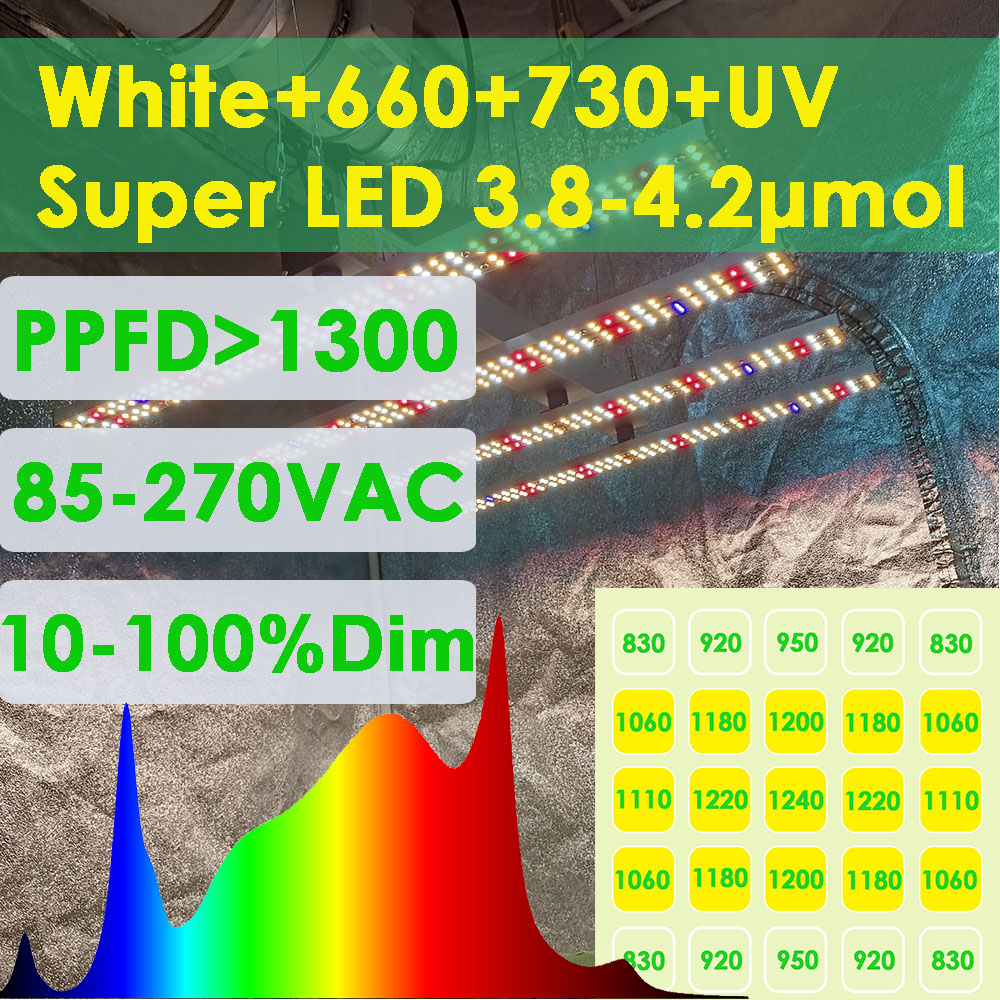 SOLIDEE 240W Quick Spider L2 L - Grow Tent Complete Kit ulasan dan harga