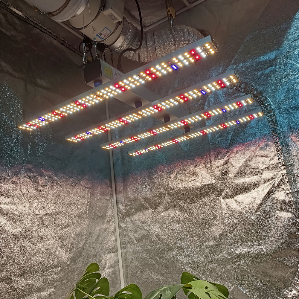 SOLIDEE 240W Quick Spider L2 L - Grow Tent Complete Kit ulasan dan harga