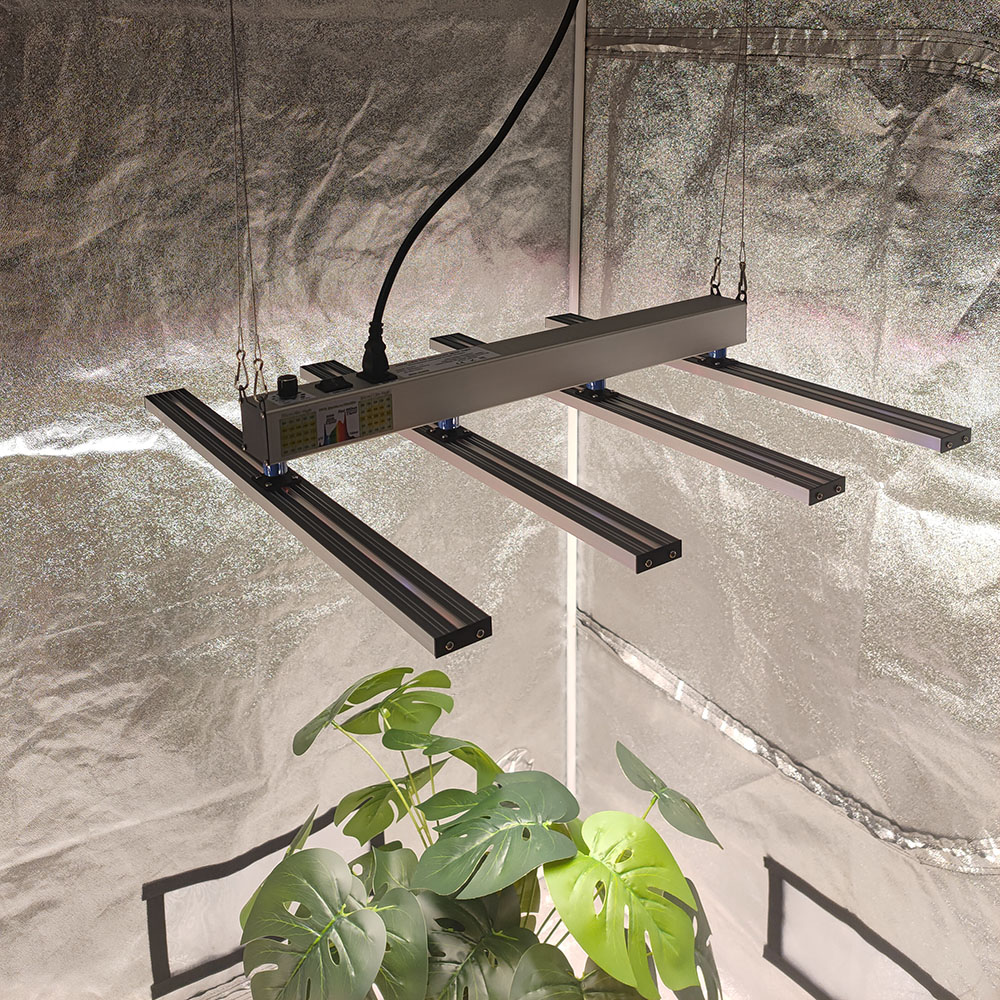 SOLIDEE 240W Quick Spider L2 L - Grow Tent Complete Kit ulasan dan harga