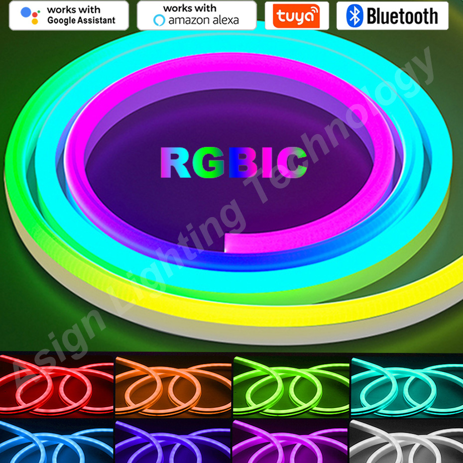 RGBIC LED Neon Strip 12V 96LED - Smart Garden Led Lights ulasan dan harga