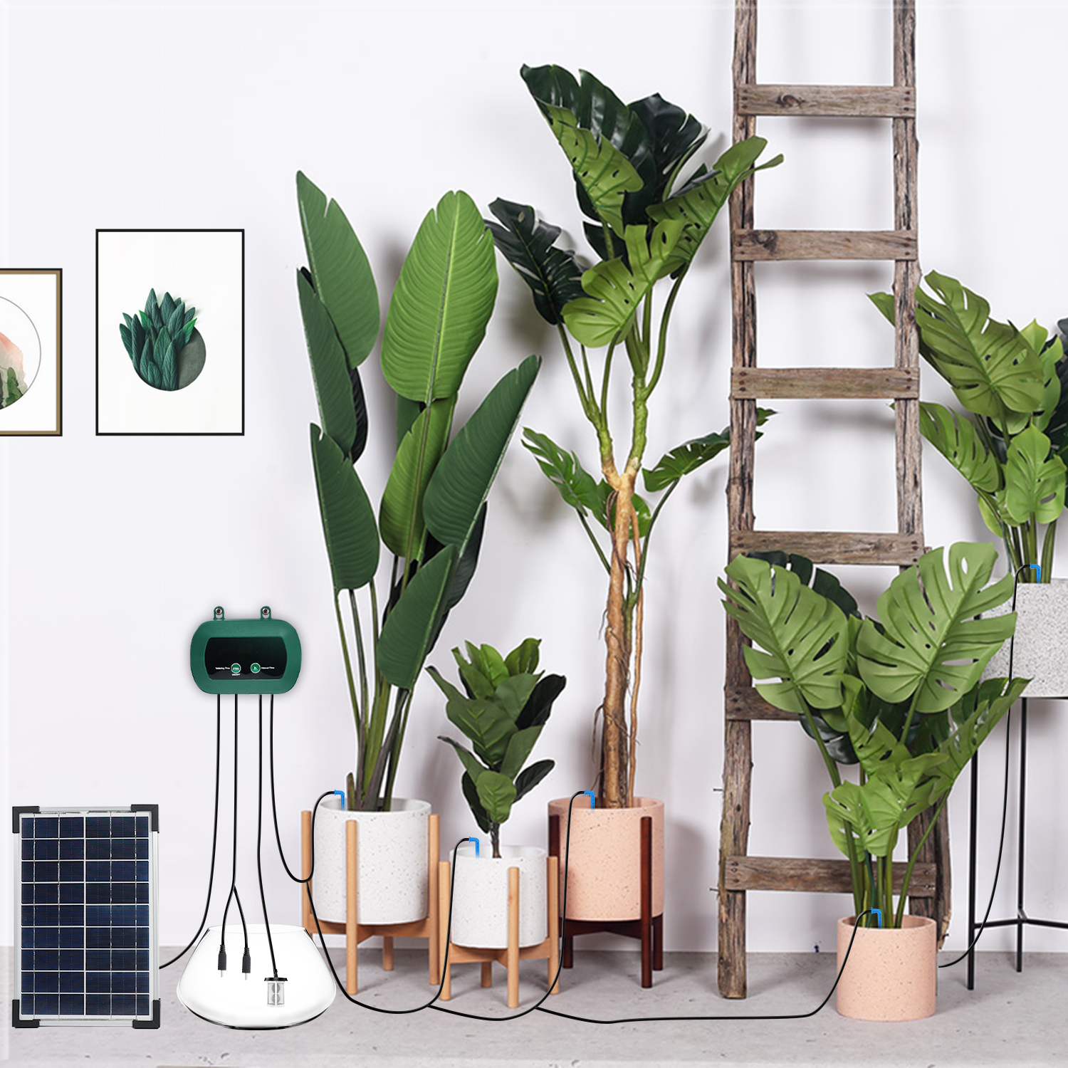 Solar Hydroponics Equipment  M - Smart Gardening ulasan dan harga