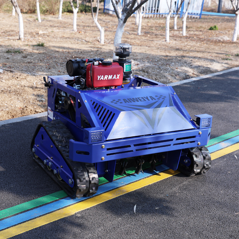 Customized Agile RC Self-Prope - Smart Garden Model ulasan dan harga