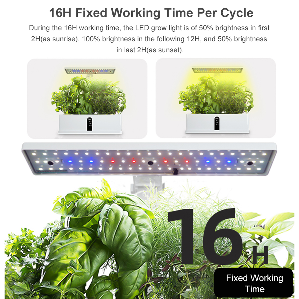 Smart Hydroponics Growing Syst - Smart Garden Led Lights ulasan dan harga