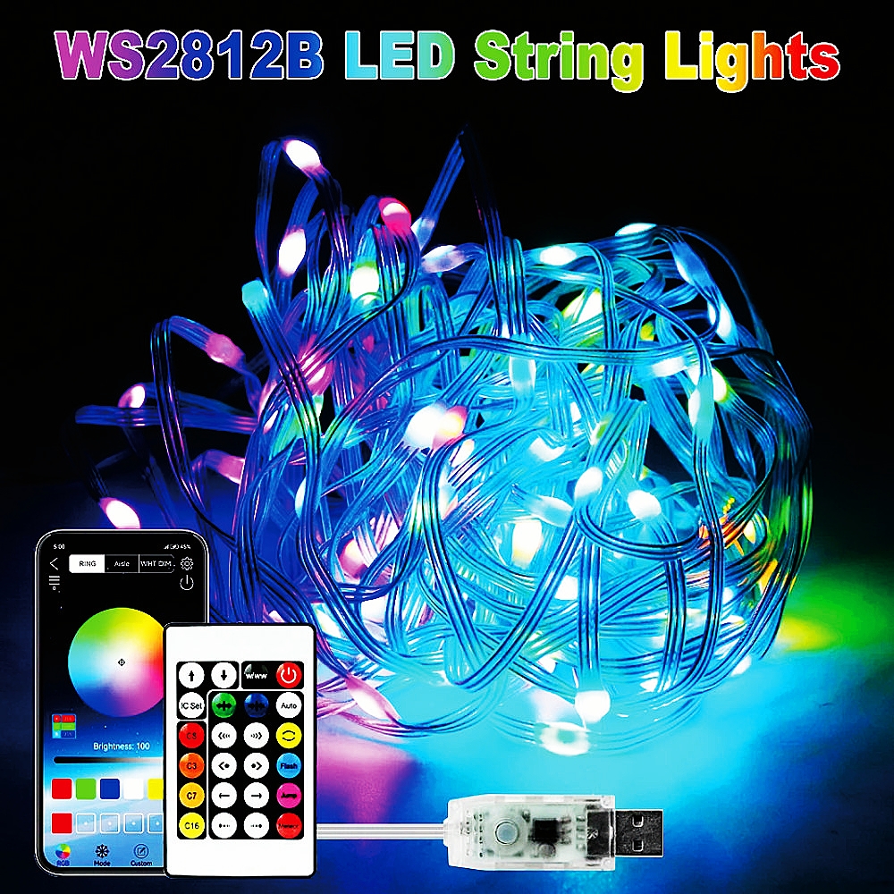 USB LED Smart app RGBIC Fairy  - Smart Garden Led Lights ulasan dan harga