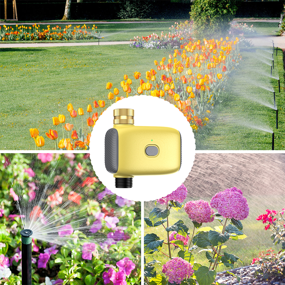 Wholesale Smart Digital  Water - Smart Gardening ulasan dan harga